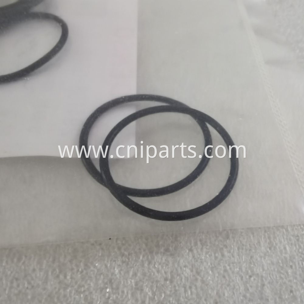 SEALING RING 